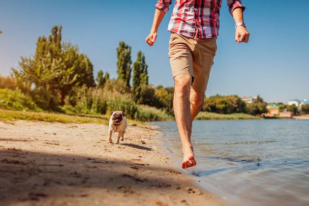 Mops Hund spielt mit Herrchen am Fluss. fröhliche Welpen laufen und Spaß im Wasser haben. Hund verfolgt Mann im Freien. - Foto, Bild