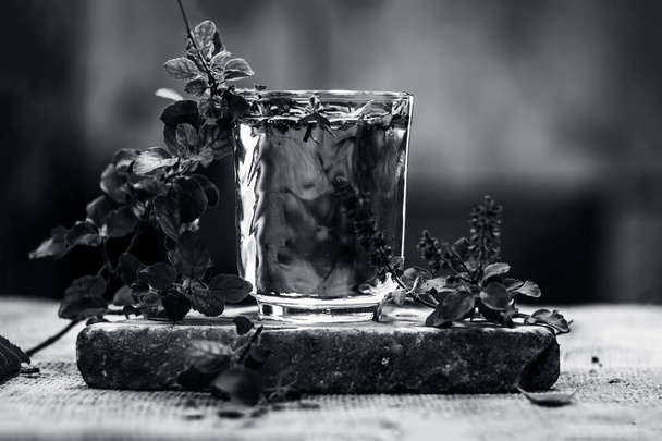 Primer plano de agua y albahaca sagrada en vidrio transparente
 - Foto, imagen