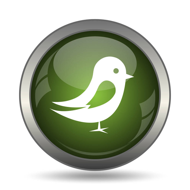 Bird icon. Internet button on white background. - Photo, Image
