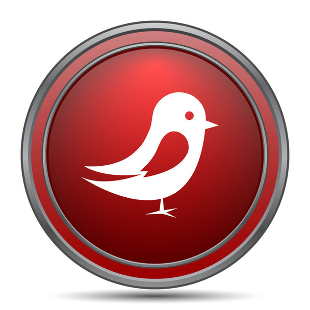 Икона птицы. Кнопка Интернет на белом фоне
 - Фото, изображение