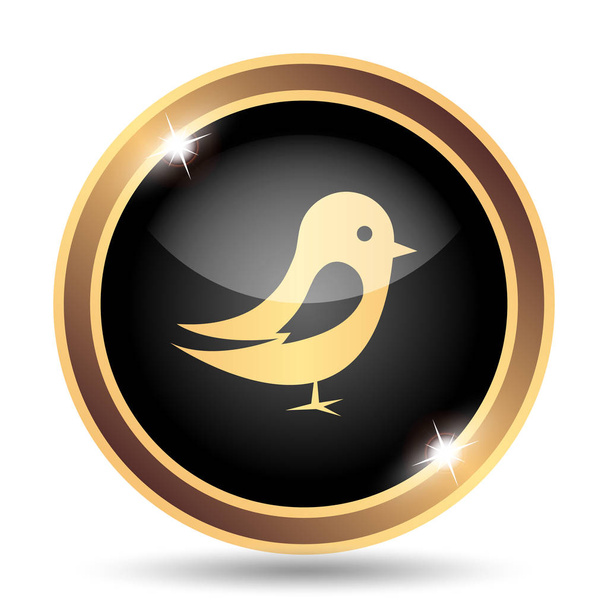 Bird icon. Internet button on white background - Photo, Image