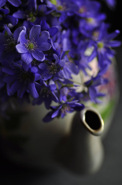 Snowdrops, liverwort noble in a teapot or vase - Фото, зображення