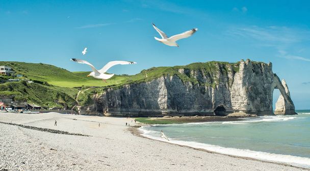 Etretat Aval cliff, rocks and natural arch withe seagulls. Normandy, France, Europe. - Fotoğraf, Görsel