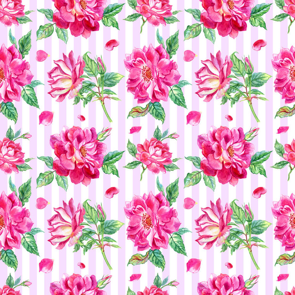 Seamless watercolor pattern of bright pink roses on a striped background. - Photo, image