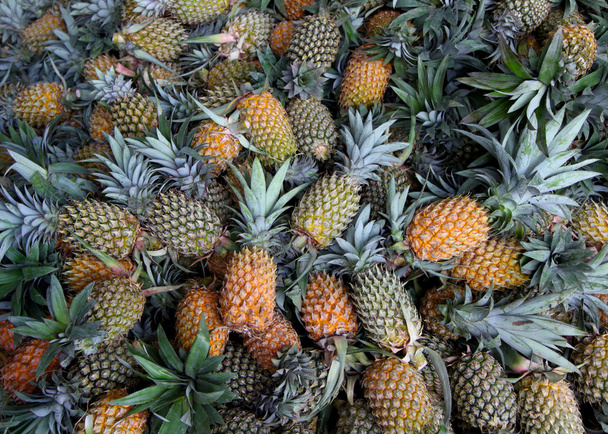 ananases - Foto, Imagem