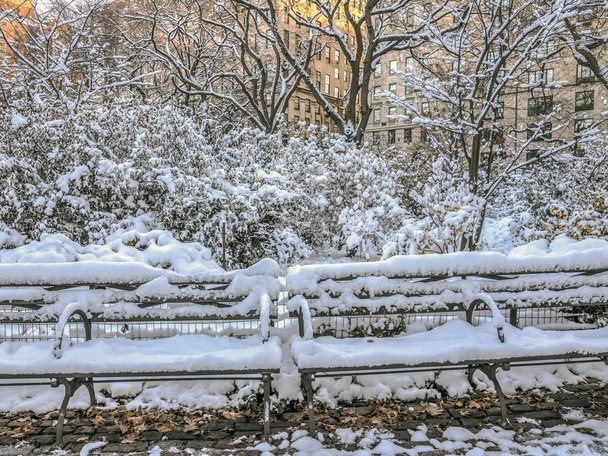 Центральний парк, Нью-Йорк після зимові хуртовини - Фото, зображення