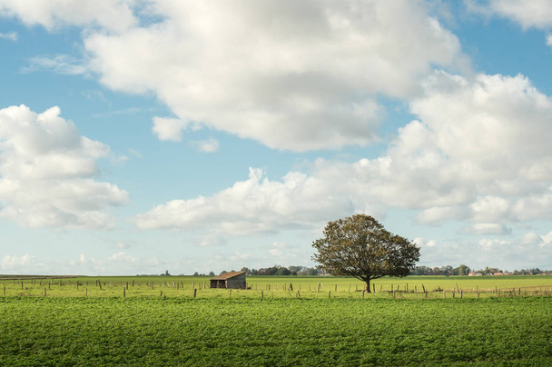 Picturesque Normandy pasture with white clouds and blue sky near lyons la foret, eure, France - Foto, afbeelding
