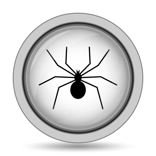 Εικόνα αράχνη. Κουμπί Internet σε άσπρο φόντο - Φωτογραφία, εικόνα