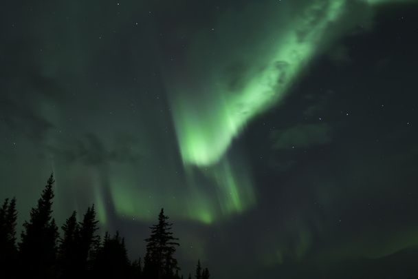 Luci settentrionali dell'Alaska
 - Foto, immagini