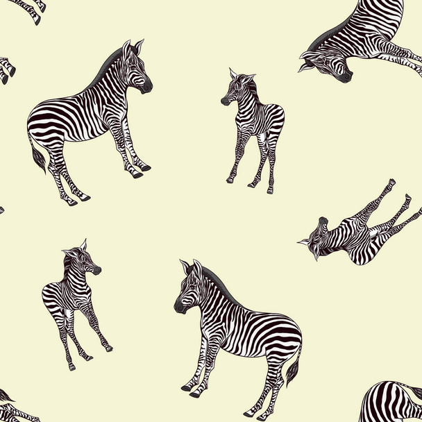 Seamless pattern, background  with adult zebra  and zebra cub. Vector illustration.   - Вектор,изображение