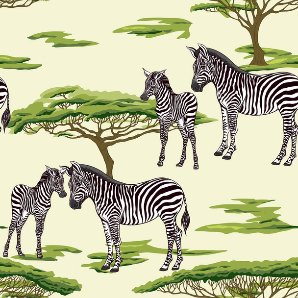 Seamless pattern, background  with adult zebra  and zebra cub. Vector illustration.   - Vetor, Imagem