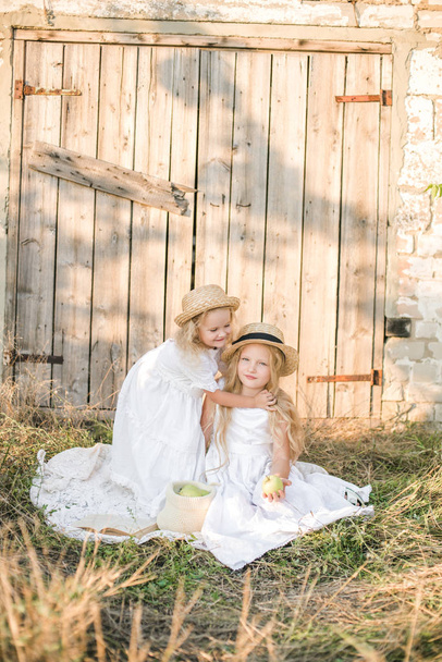 Lovely blonde girl sisters in white dresses and straw hats laugh and eat apples in the countryside in summer - Zdjęcie, obraz