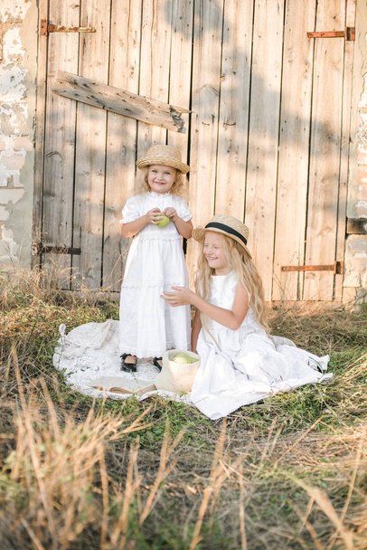 Lovely blonde girl sisters in white dresses and straw hats laugh and eat apples in the countryside in summer - Foto, Imagen