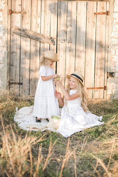 Lovely blonde girl sisters in white dresses and straw hats laugh and eat apples in the countryside in summer - Foto, Bild