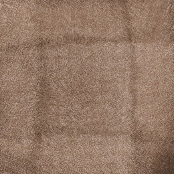 kürk manto doğal gri-kahverengi arka plan olarak parçası - Fotoğraf, Görsel