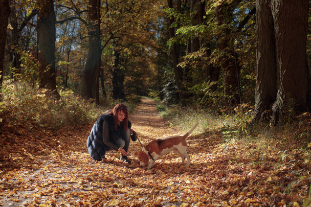 junges schönes Mädchen, das mit einem Hund im Park spielt. Sonniger Herbsttag. - Foto, Bild