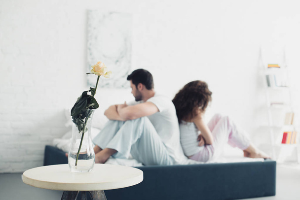 rose flower in vase and upset young couple sitting back to back on bed behind - Foto, Bild