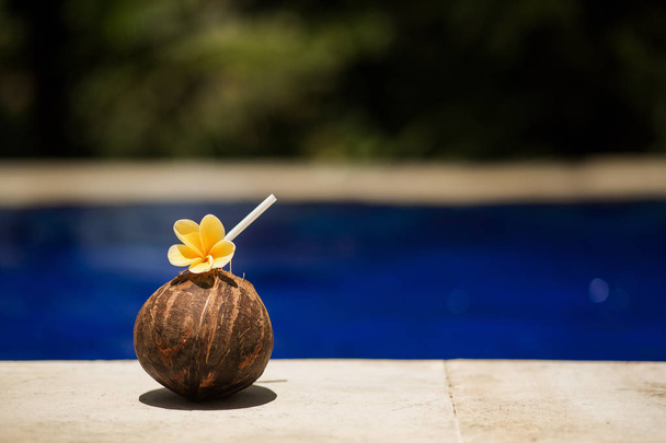 tropical coconut drink with yellow flower, at swimming pool edge. Hotel relaxing. - Zdjęcie, obraz