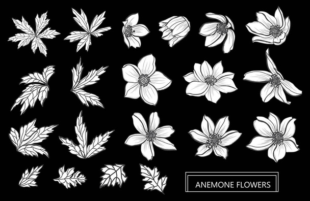 Decorative anemone flowers set, design elements. Can be used for cards, invitations, banners, posters, print design. Floral background in line art style - Wektor, obraz