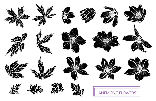 Decorative anemone flowers set, design elements. Can be used for cards, invitations, banners, posters, print design. Floral background in line art style - Vector, Image