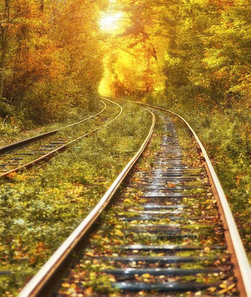 Ferrocarril abandonado bajo el túnel de árboles de colores otoñales, hojas doradas cayendo
 - Foto, Imagen