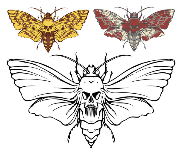 Illusztráció egy pillangó halott fej, a mellkas a koponya-alakú minta. Vector-banner a reális-moly közelről felülnézet, fekete-fehér és színes - Vektor, kép
