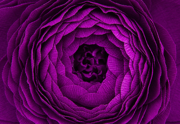 Macro shooting of beautiful purple flower, background - Photo, Image