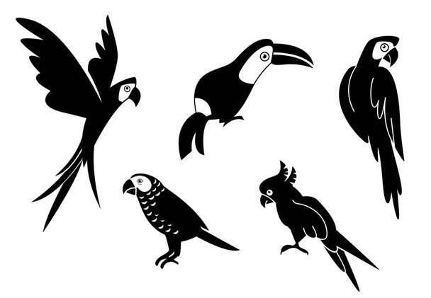 Pappagallo tropicale con piume e ali. Pappagalli dalla silhouette nera, illustrazione di pappagallo esotico. Collezione uccelli da compagnia
. - Vettoriali, immagini