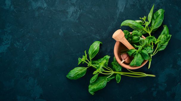 Fresh green basil. Top view. On the background. Free space for text. - Photo, Image