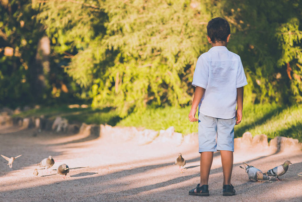 child stands looking at the pigeons on the ground with copy space for text - Φωτογραφία, εικόνα