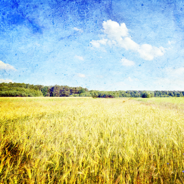 Paisaje de verano con campos de carretera y centeno en estilo vintage
 - Foto, imagen