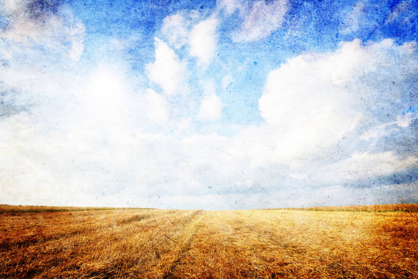 Summer landscape with Wheat field and blue sky with clouds- Vintage style - Photo, Image