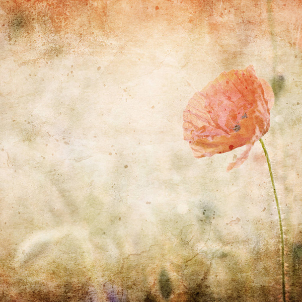 schöne Mohnblume in der Dämmerung - Vintage Hintergrund - Foto, Bild