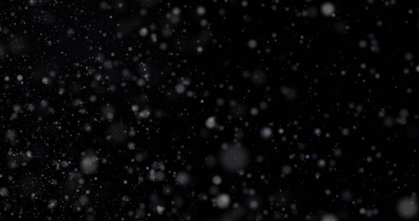 黒の背景に降雪 - 写真・画像