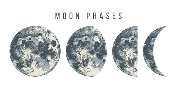 moon phases illustration - ベクター画像
