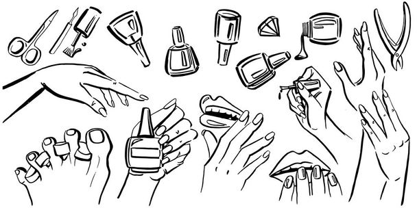Vektor-Set Kunst mit Nägeln und Nagellack. Vektorhände und -füße. für Meister der Maniküre. Maniküre-Set - Vektor, Bild