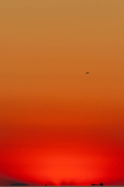 Pomarańczowe niebo nad morze z ładunkiem statku w odległości i mewa w niebo - Zdjęcie, obraz