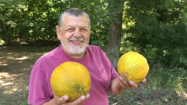 Oekraïense senior boer toont zijn biologische oogst - rijpe meloenen - Video