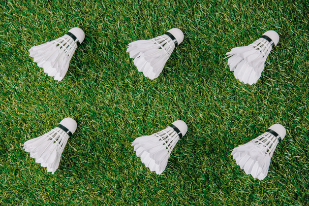 top view of white shuttlecocks for playing badminton arranged on green lawn - Photo, Image