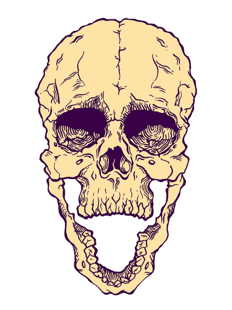 Terrible frightening skull. Creepy illlustration for halloween - Vector, Image