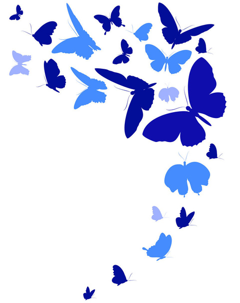 blue butterflies isolated on white background - Vetor, Imagem
