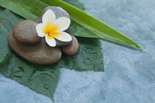 Bílý tropický květ a kameny pro opravdové relaxaci tabulka - Fotografie, Obrázek