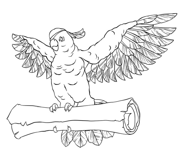 Pirate parrot in flight with outstretched wings and the coin in his paws. Cockatoo. Vector illustration isolated on white background. Coloring page - Vector, Image