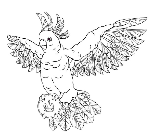 Pirate parrot in flight with outstretched wings, eye patch and a card or letter in his paws. Cockatoo. Vector illustration isolated on white background. Coloring page - Vetor, Imagem