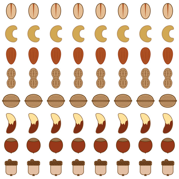 Eight rows of various types of stylized nuts - Vector, Image
