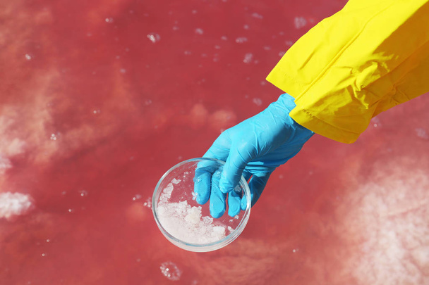 Laboratory worker with Petri dish taking sample from pink lake for analysis, closeup - Fotoğraf, Görsel