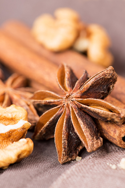 Star anise walnut with cinnamon - Foto, imagen