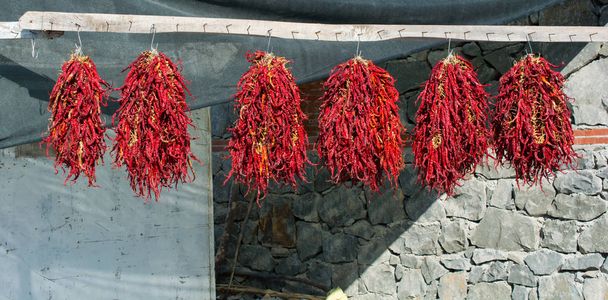 dried red peppers.dried under sunlight.in the winter season, dried to eat - Photo, Image