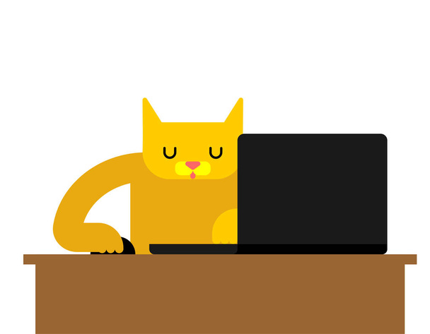 Cat laptop working. Pet and notebook. vector illustration - Vector, Image