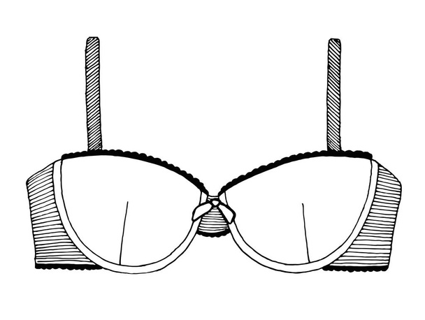 Sketch lingerie. Female bra on a white background. Vector illustration - Vektör, Görsel